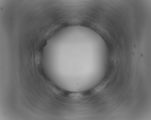 X0000076060133200610152212