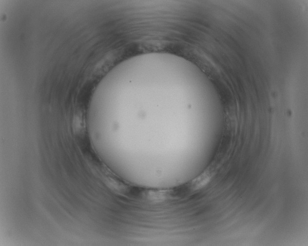 X0000076060134200610152212