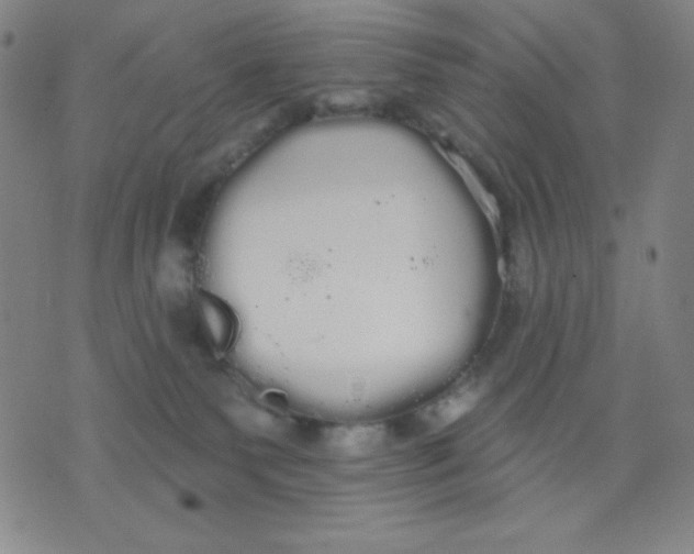 X0000076060135200610152212