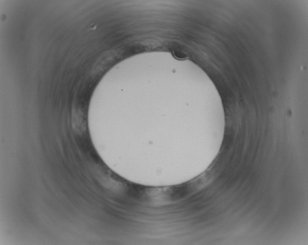 X0000076060136200610152212