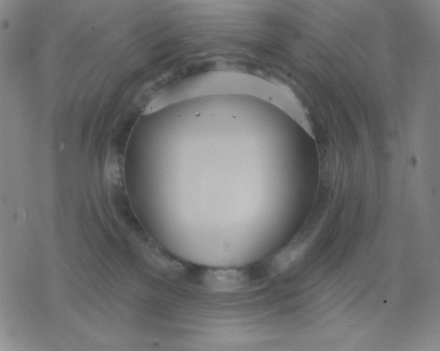 X0000076060137200610152212