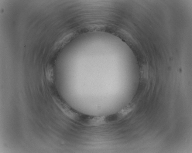 X0000076060138200610152212