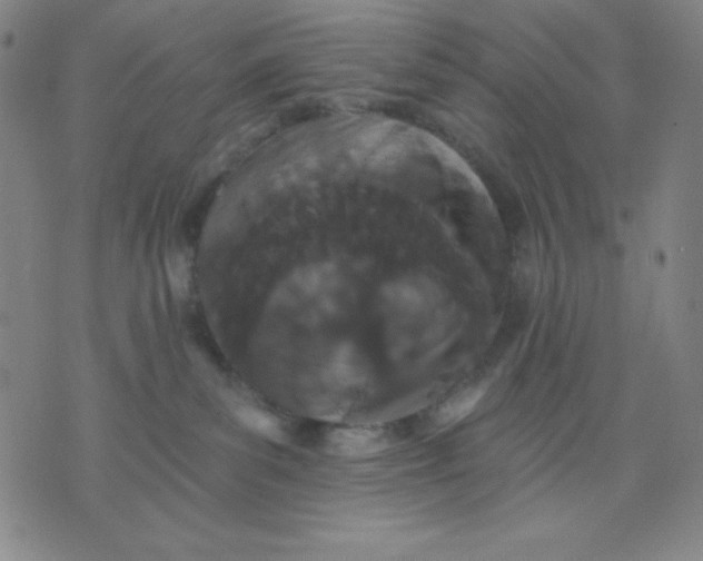 X0000076060139200610152212