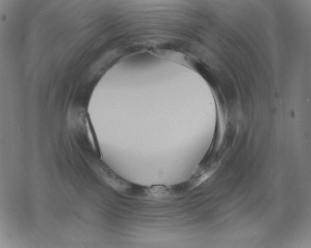 X0000076060141200610152212