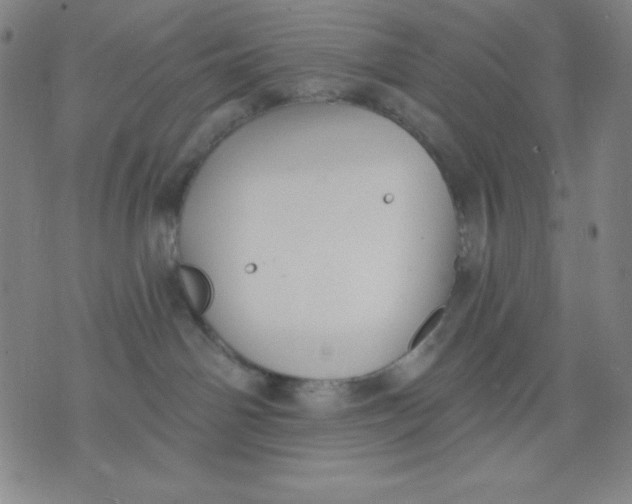 X0000076060142200610152212