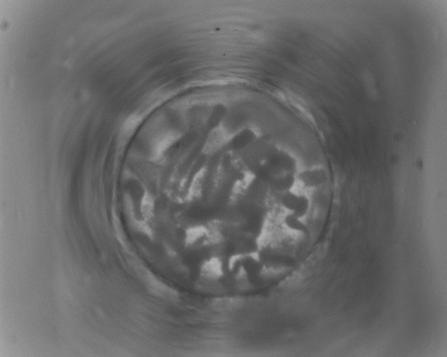 X0000076060145200610152211