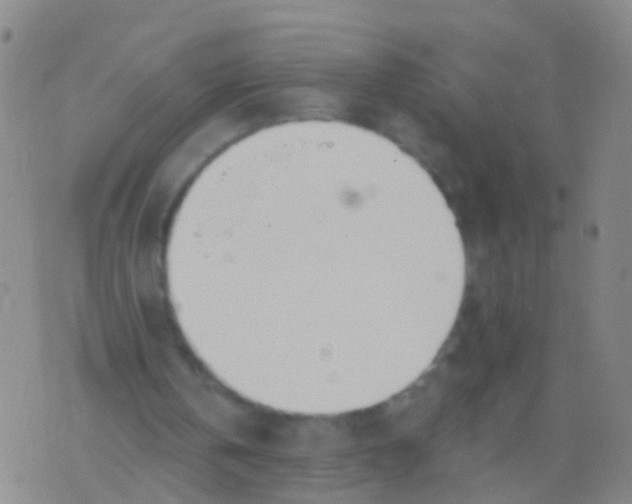 X0000076060146200610152211