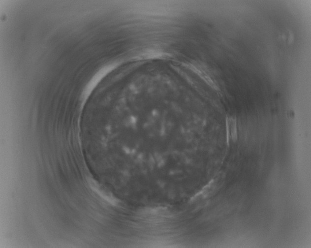 X0000076060147200610152211