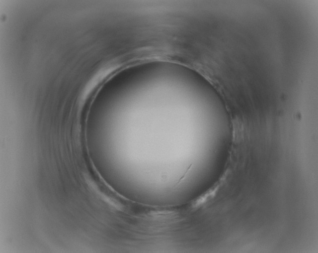 X0000076060150200610152211