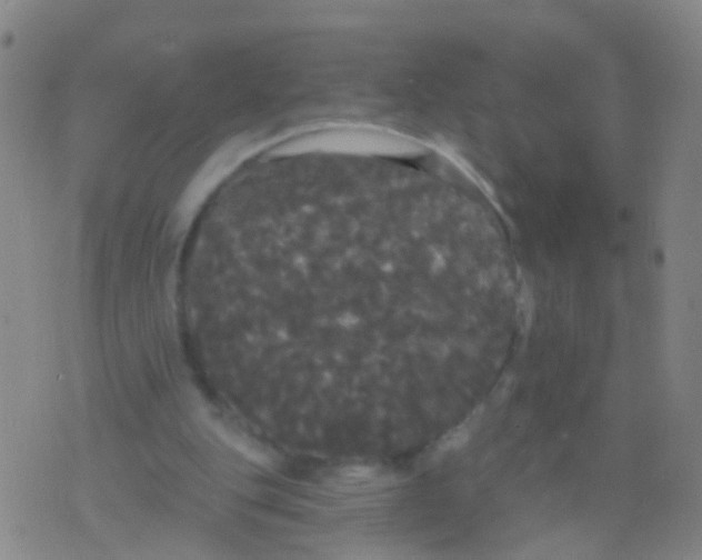 X0000076060151200610152211