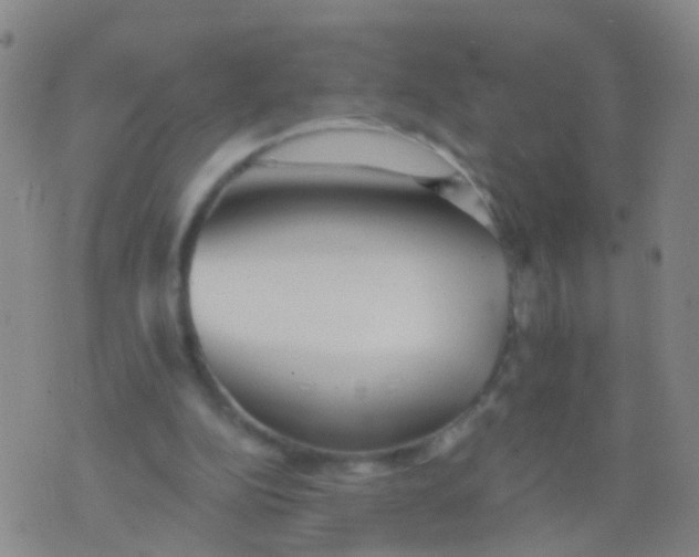 X0000076060152200610152211