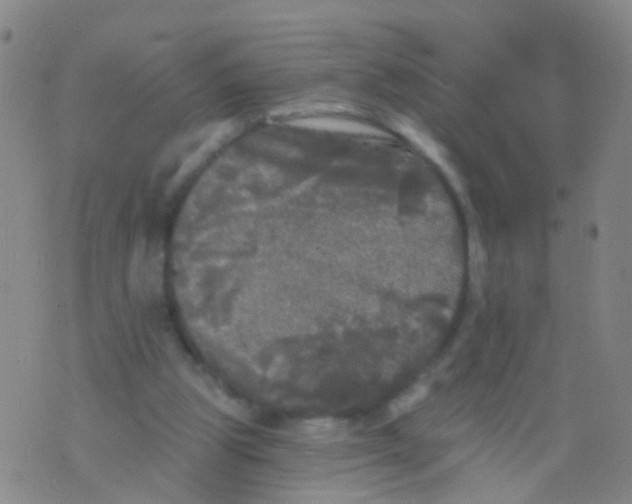 X0000076060153200610152211