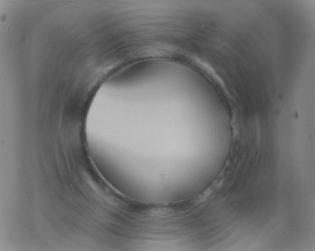 X0000076060154200610152211