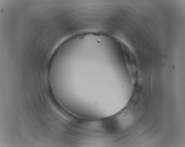 X0000076060156200610152211