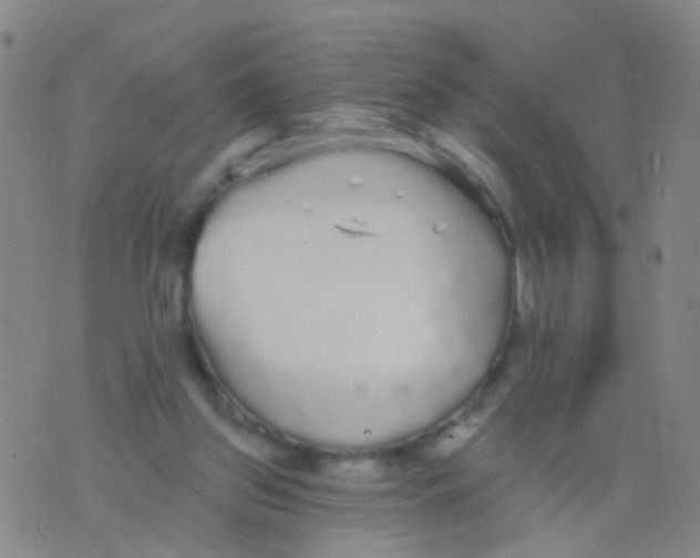 X0000076060157200610152211