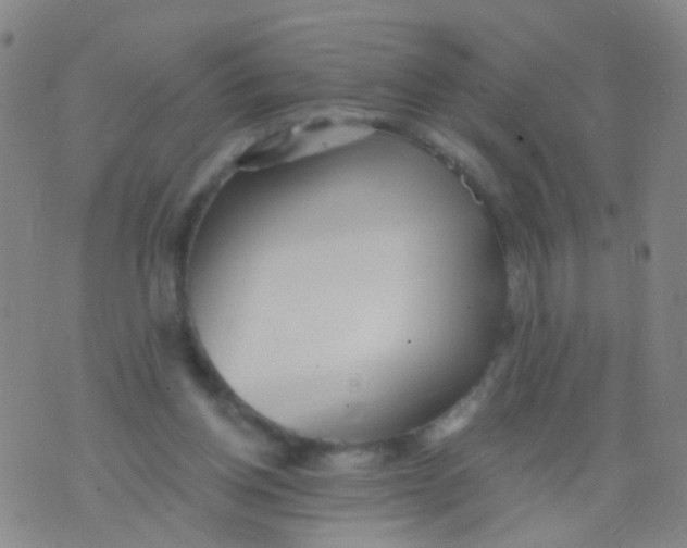 X0000076060158200610152211