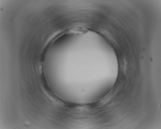 X0000076060160200610152211