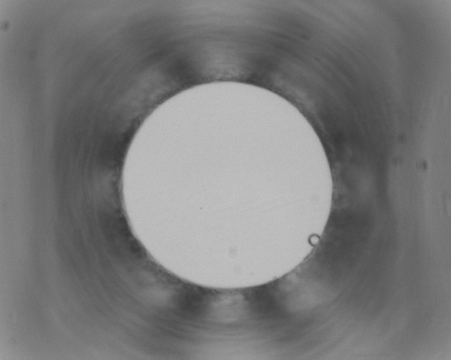 X0000076060162200610152211