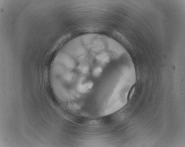 X0000076060163200610152211