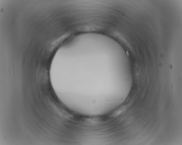 X0000076060164200610152211