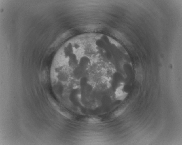 X0000076060165200610152211