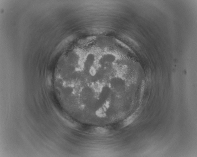 X0000076060166200610152211