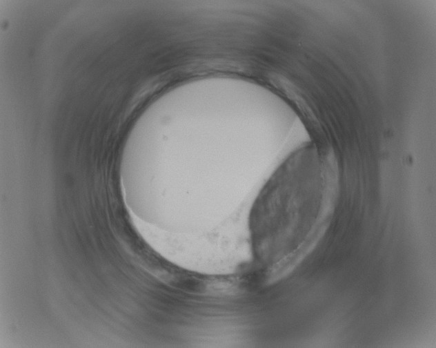 X0000076060167200610152211