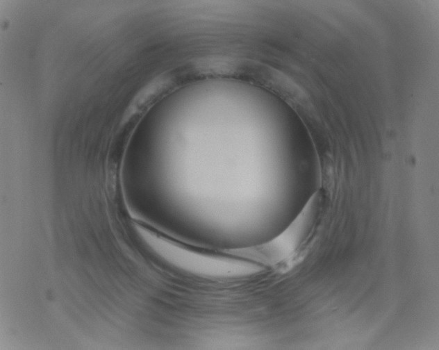 X0000076060168200610152211