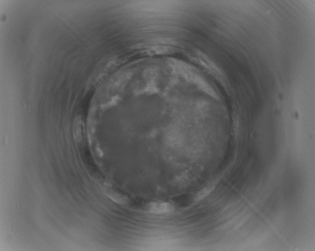 X0000076060169200610152211