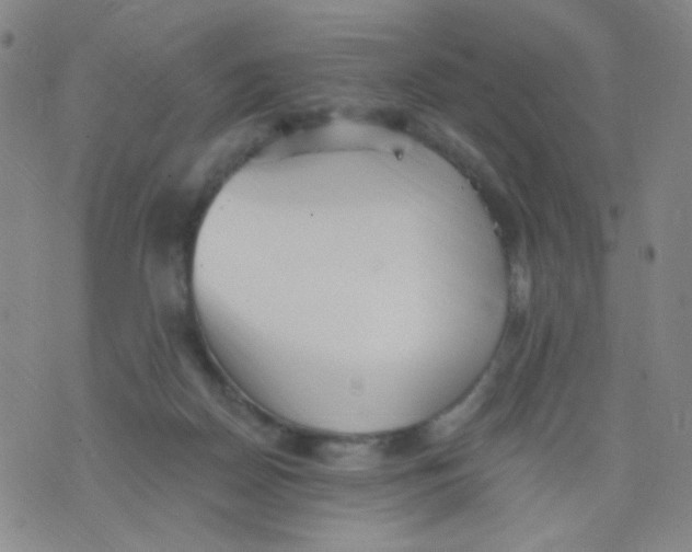 X0000076060170200610152211