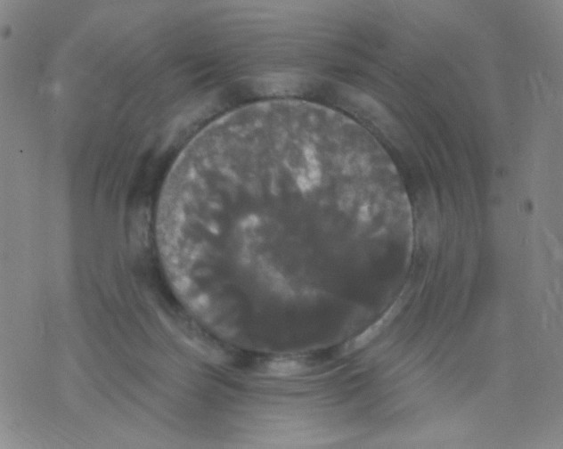 X0000076060171200610152211