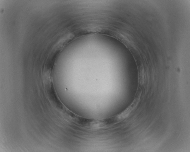 X0000076060172200610152211