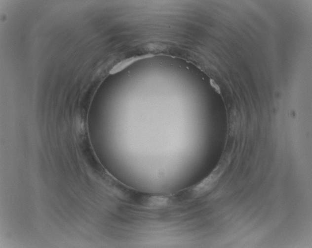 X0000076060176200610152211