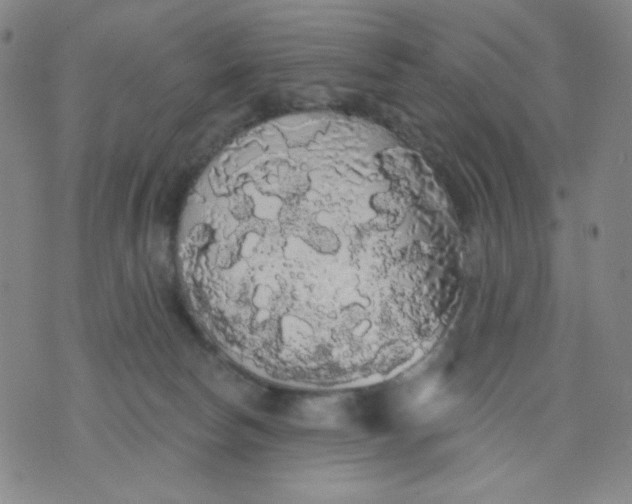 X0000076060178200610152211