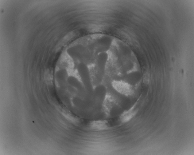 X0000076060179200610152211