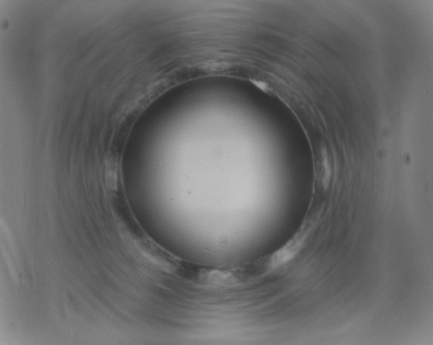 X0000076060180200610152211