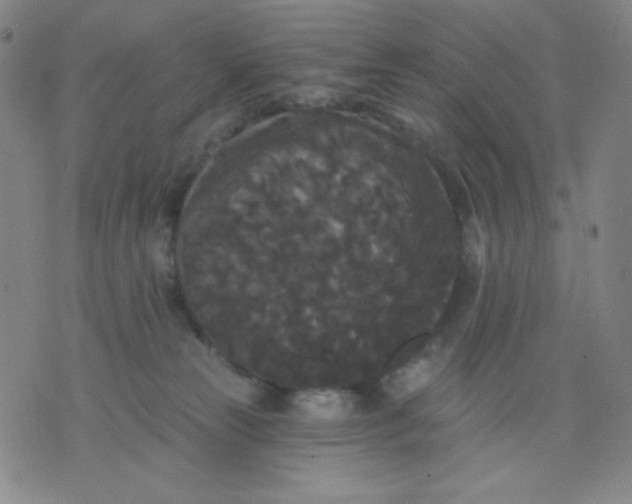 X0000076060181200610152212