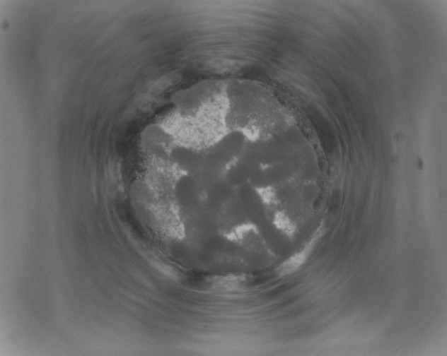 X0000076060182200610152212