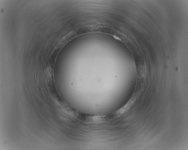 X0000076060184200610152212