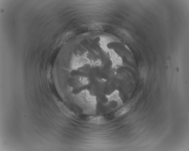 X0000076060185200610152212