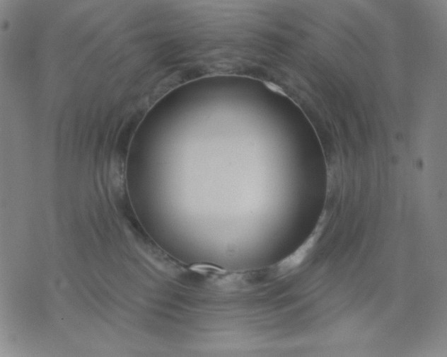 X0000076060186200610152212