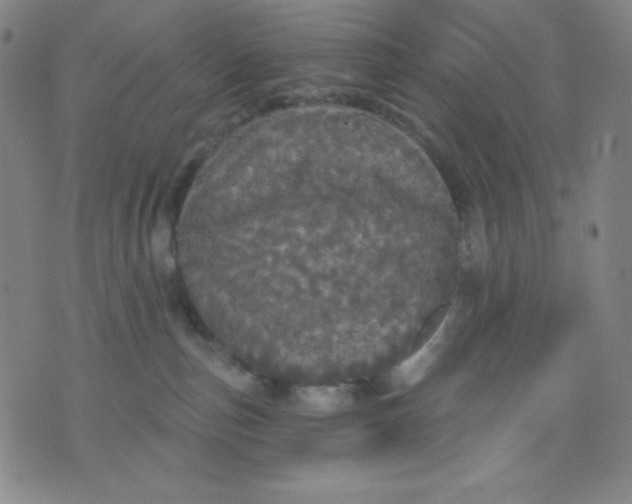 X0000076060187200610152212