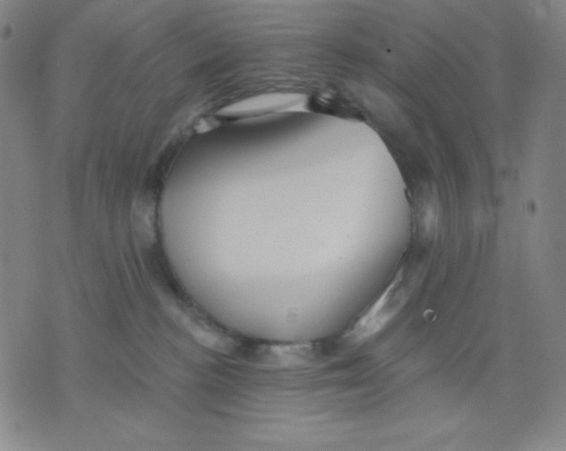 X0000076060188200610152212