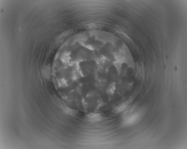 X0000076060189200610152212