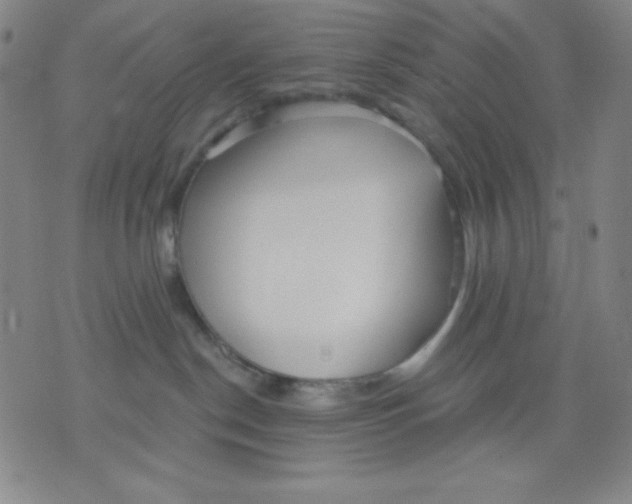 X0000076060190200610152212