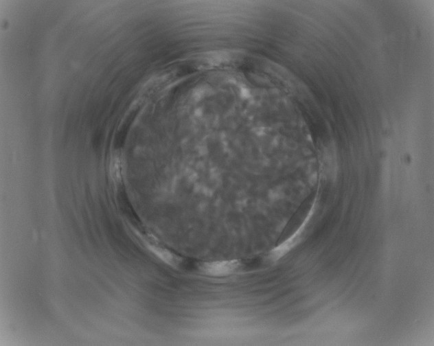 X0000076060191200610152212