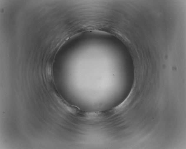 X0000076060192200610152212