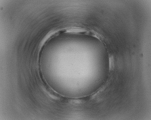 X0000076060195200610152211