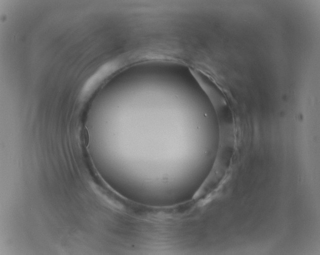 X0000076060197200610152211