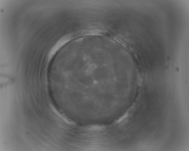 X0000076060198200610152211